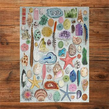 The Art File: Natural Curiosities (1000)