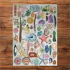 The Art File: Natural Curiosities (1000)