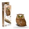 EUGY 3D Model Kit | Owl