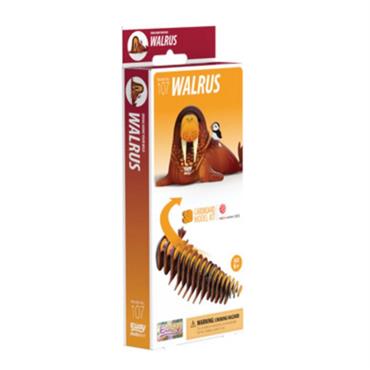 EUGY 3D Model Kit | Walrus