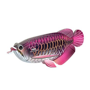 EUGY Asian Arowana