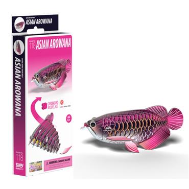 EUGY Asian Arowana