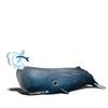 EUGY Sperm Whale