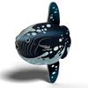 EUGY Ocean Sunfish