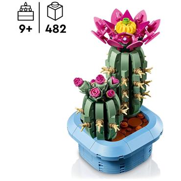 11509 Flowering Cactus