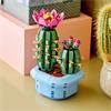 11509 Flowering Cactus