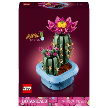 11509 Flowering Cactus
