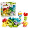 10479 Colorful Creative Box 
