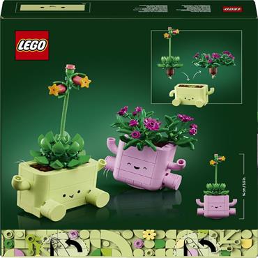 11506 Rocking Plants