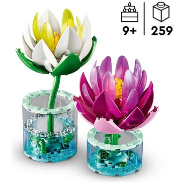 11511 Water Lilies 