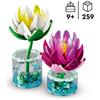 11511 Water Lilies 
