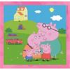 Peppa Pig 3 X 49 Pieces