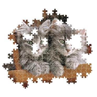 KITTENS COMPACT 500 Pieces