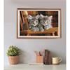KITTENS COMPACT 500 Pieces
