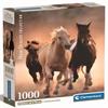 Running Horses - 1000 Pieces