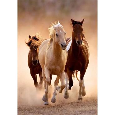 Running Horses - 1000 Pieces