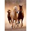 Running Horses - 1000 Pieces