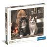 Lovely Kittens - 1000 Pieces