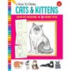 How to Draw: Cats & Kittens | Paperback 