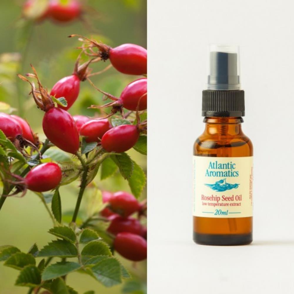 Atlantic Aromatics Organic Rosehip Seed Oil 20ml Nourish.ie Nourish
