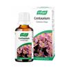A.Vogel Centaurium 50ml