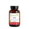 Irish Botanica Reishi 60s