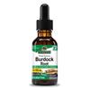 Nature's Answer Burdock Alcohol-Free Tincture 30ml
