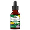 Nature's Answer Gymnema Leaf Extract Alcohol-Free Tincture 30ml