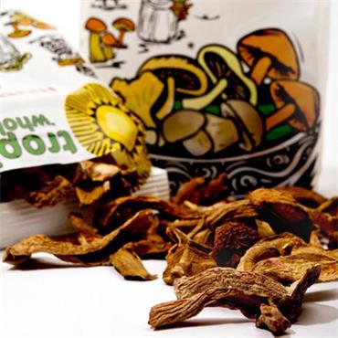 Tropical Wholefoods Dried Mushrooms Porcini 30g
