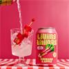 Living Things Natural Soda Rhubarb & Apple