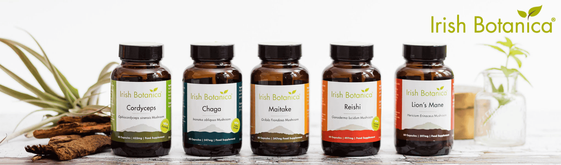 Irish Botanica mushrooms.