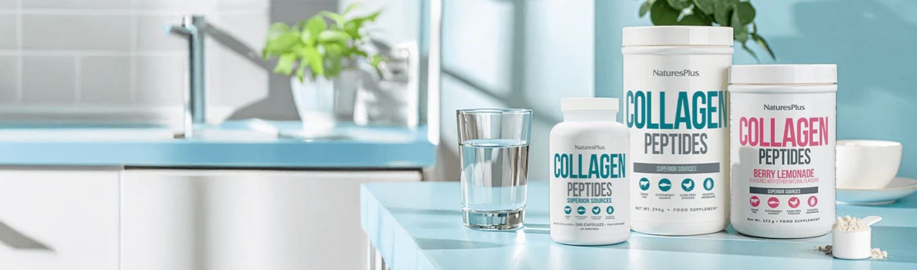 Nature's Plus landing page banner