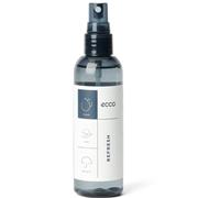 ECCO SILVERLINE SHOE REFRESH 100ML - NEUTRAL