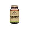 Solgar Ashwagandha Root Extract - 60 Capsules