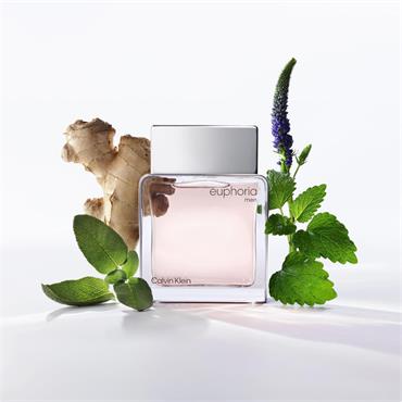 Calvin Klein Euphoria For Men EDT 50ml