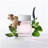 Calvin Klein Euphoria For Men EDT 50ml