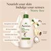Aveeno Daily Moisturising Lotion Cocoa Butter Vanilla Scent - 300Ml