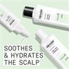 Nioxin Scalp Relief Kit