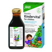 Salus Haus Floradix Kindervital For Children 250ml