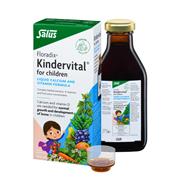 Salus Haus Floradix Kindervital For Children 250ml