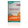 Sona Turmeric Max 30s 
