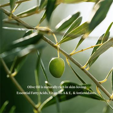 UltraPure Olive Oil 100ml