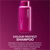 Luna Pro Haircare- Color Protect Shampoo 300Ml