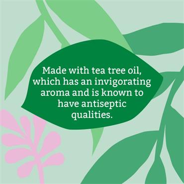 Faith In Nature Tea Tree Soap Bar 100g