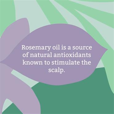 Faith In Nature Stimulating Rosemary Shampoo 400ml