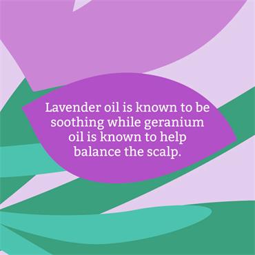 Faith In Nature Balancing Lavender & Geranium Shampoo 400ml