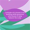 Faith In Nature Balancing Lavender & Geranium Shampoo 400ml