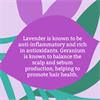 Faith In Nature Relaxing Lavender & Geranium Body Wash 400ml