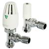 Radiator Valves