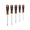 B219.015 BAHCOFIT Screwdriver Set, 5 Piece